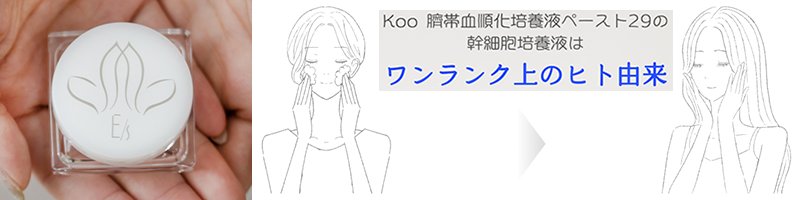 �y�[�X�g29���T�C�g